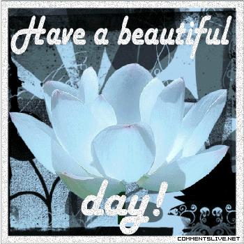 Flower Beautiful Day Picture