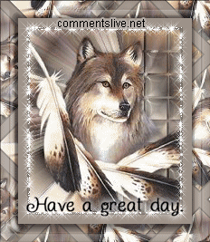 Great Day Wolf Picture
