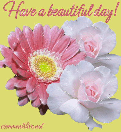 Have A Beautiful Day Picture