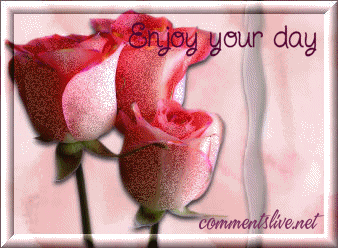 Rose Enjoy Day Picture