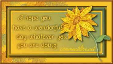 Sunflower Wonderful Day Picture