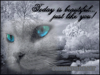 Today Beautiful Day Picture