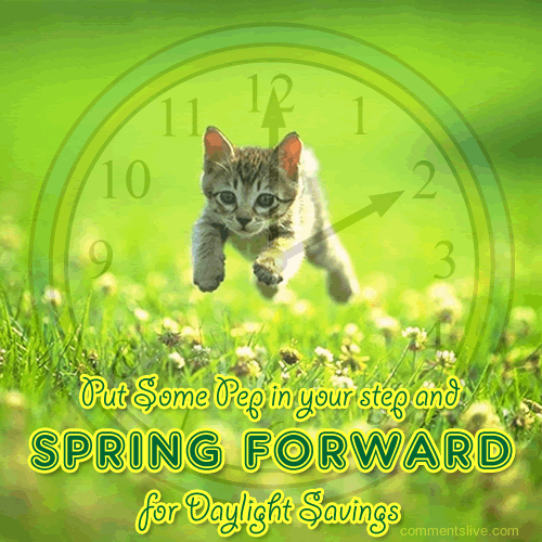 Pep Step Spring Forward picture