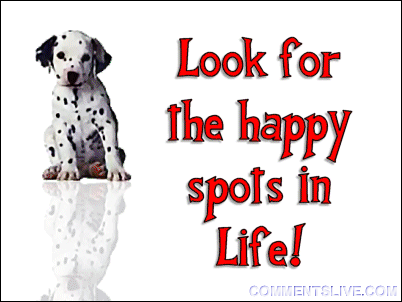 Happy Spots Picture