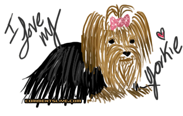 I Love My Yorkie Picture