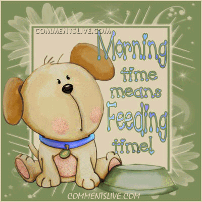 Morning Feeding Time Picture