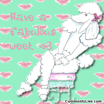 Poodle Fab Week Picture