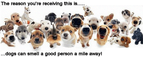 Sense Of Smell Picture
