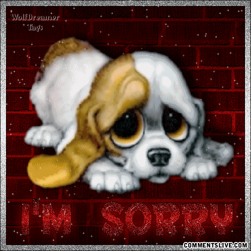 Sorry Pup Picture