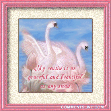 Cousin Swan Picture