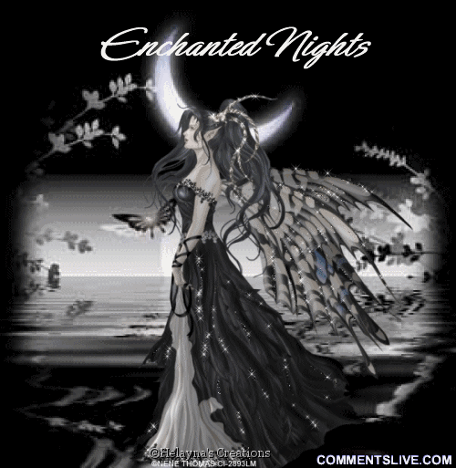 Enchanted Nights picture
