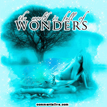 Full Of Wonders