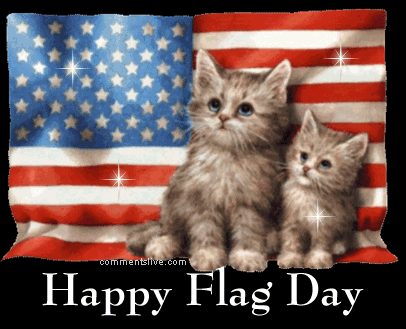Flag Day Cats picture