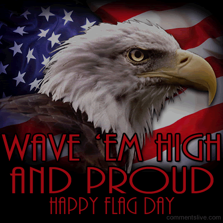 High And Proud Eagle picture