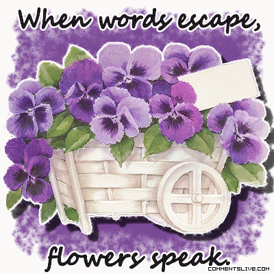 Flowers Speak picture