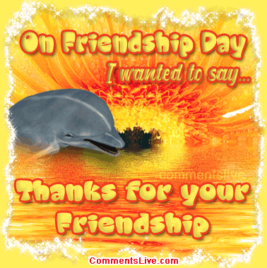 Dolphin Friendship