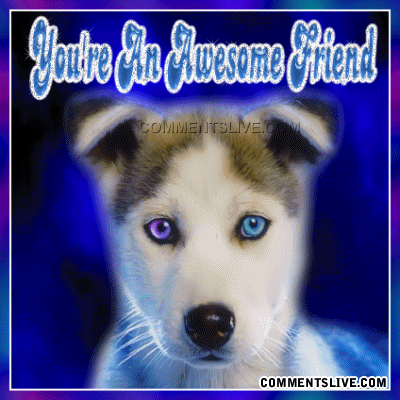 Dog Awesome Friend Picture
