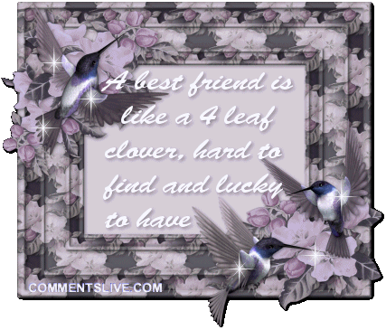 Four Leaf Clover Picture
