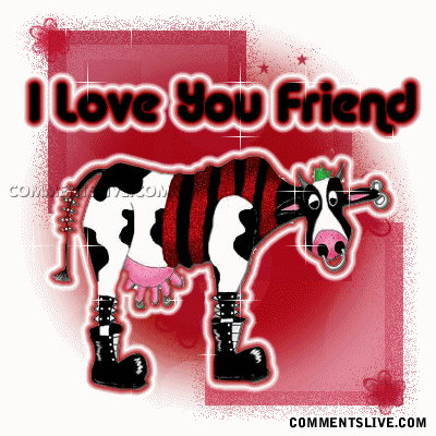 Friend Cow picture