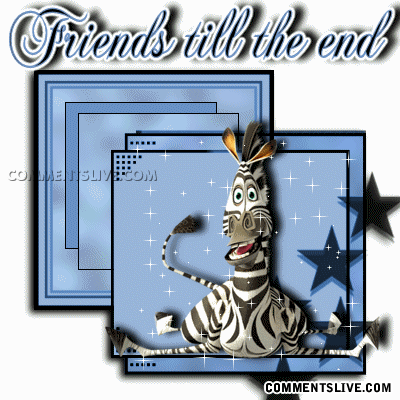 Friend Zebra picture