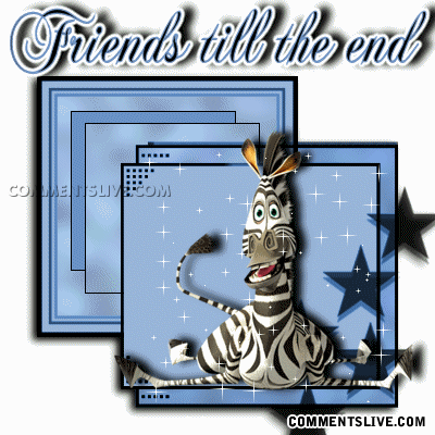 Friend Zebra Picture