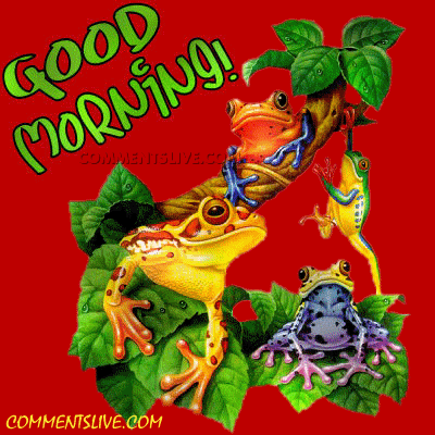 Good Morning Frog picture