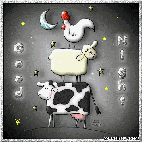 Cow Good Night picture