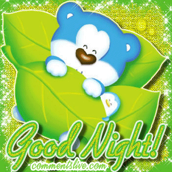 Good Night Leaf Bear picture