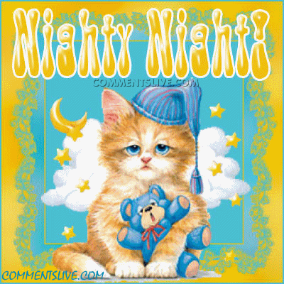 Nighty Night Kitty