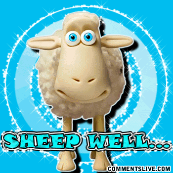 Sheep Well