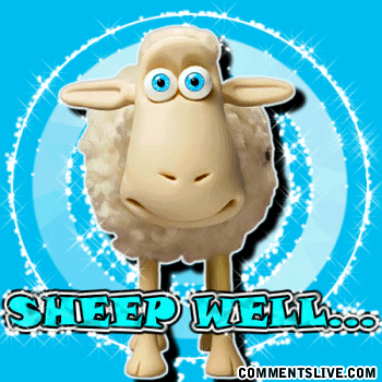 Sheep Well Picture