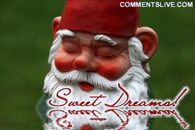 Sweet Dreams Elf Picture