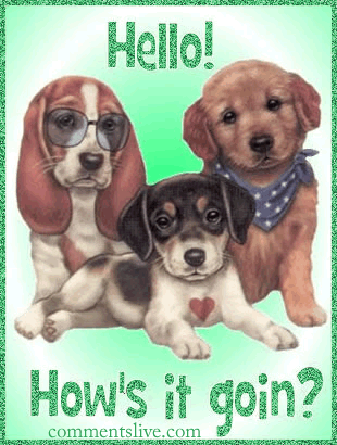 Hello Hows It Goin Picture