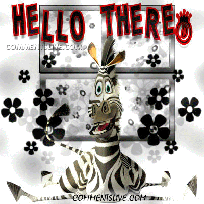 Hello Zebra picture