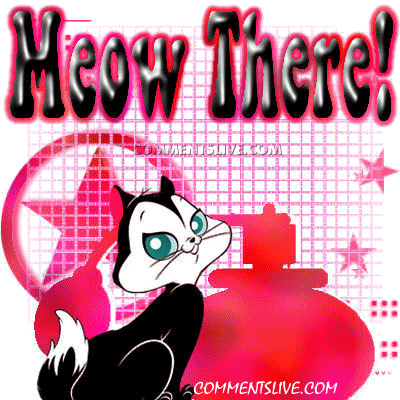 Meow There Picture