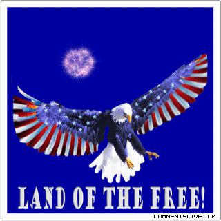 Land Of The Free Eagle