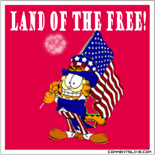 Land Of The Free picture