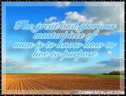 Live To Purpose Picture