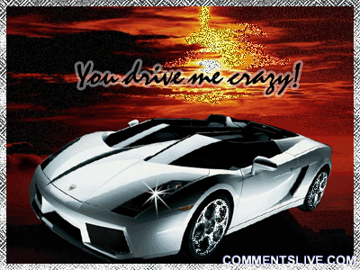 Drive Me Crazy Picture