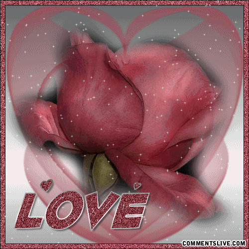 Love Flower picture