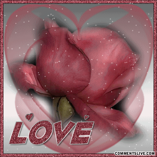 Love Flower Picture