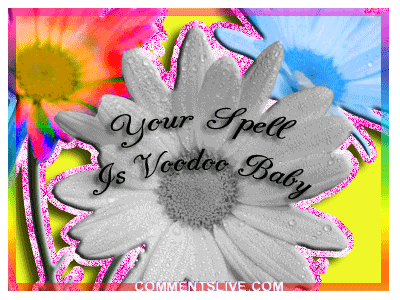 Spell Is Vodoo Picture