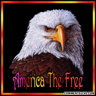 America The Free picture