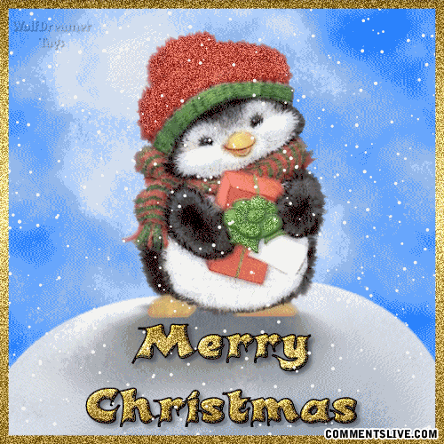 Christmas Penguin picture