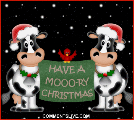 Mooory Christmas