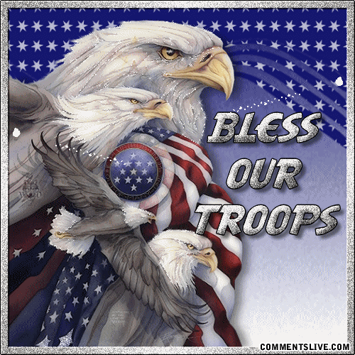 Eagle Bless Troops picture
