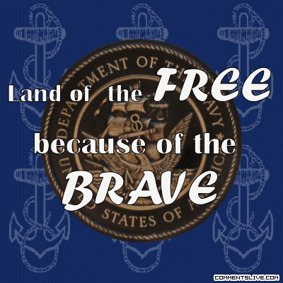 Free Brave Navy picture