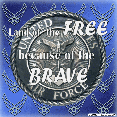 Free Brave Usaf picture