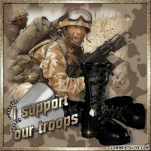 I Support Our Troops picture