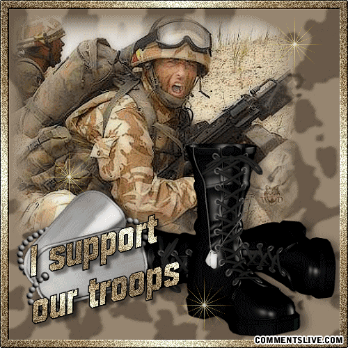 I Support Our Troops Picture